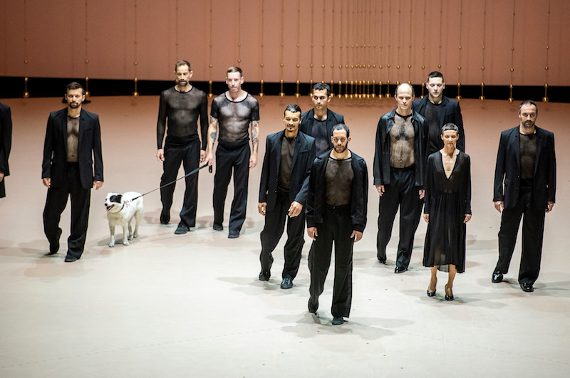 A group of men in mesh shirts and black suits walk in staggering lines. A white dog with a black patch walks on a leash led by one of the dancers.